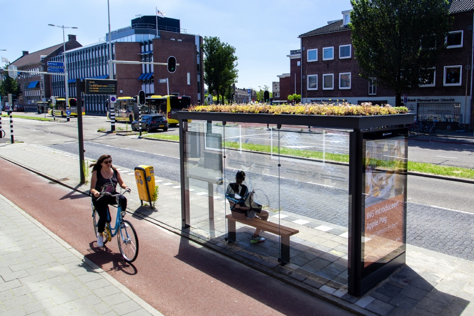 Beeld NWST, ter illustratie: sedum op bushokjes in Utrecht